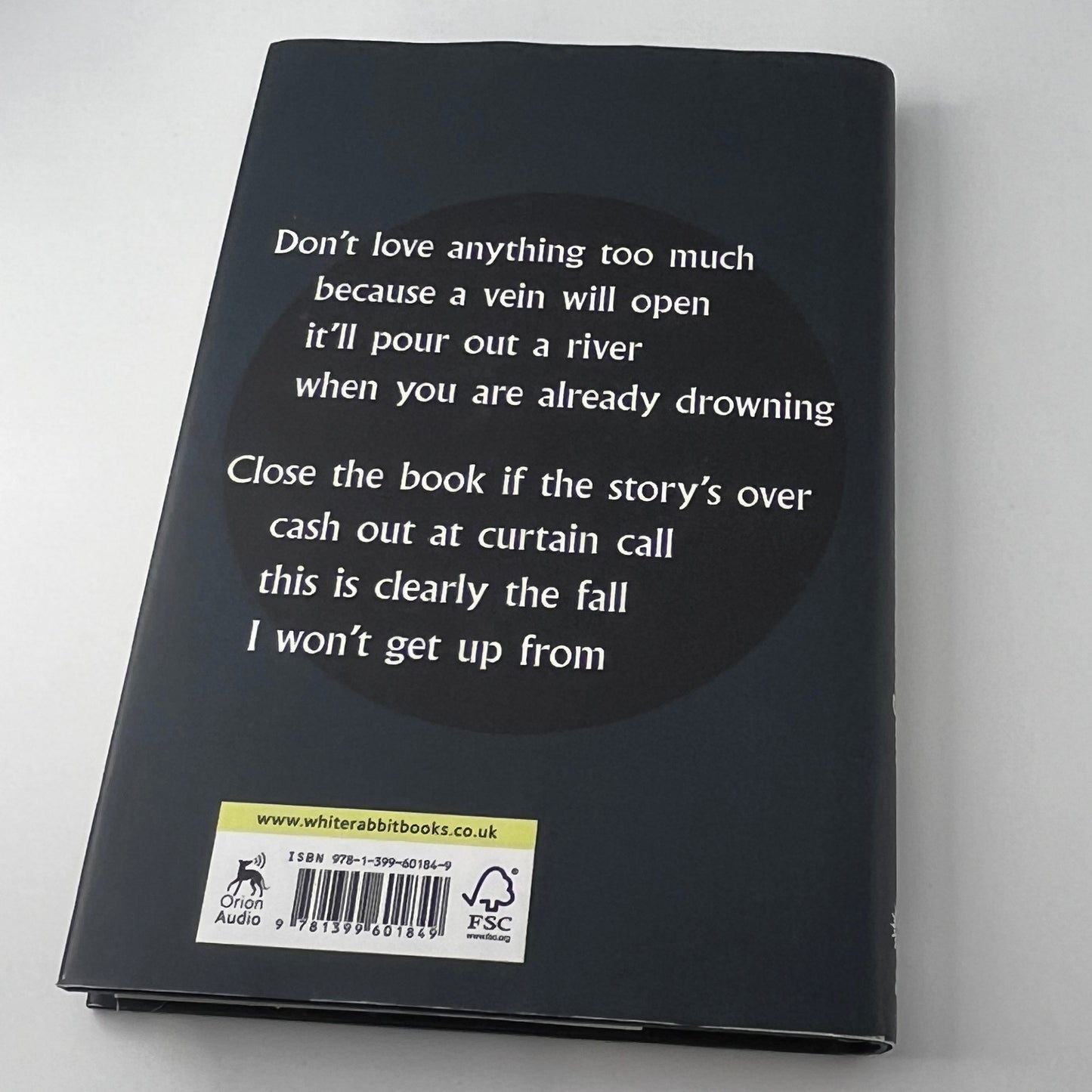 Devil In a Coma / Mark Lanegan (image 2)