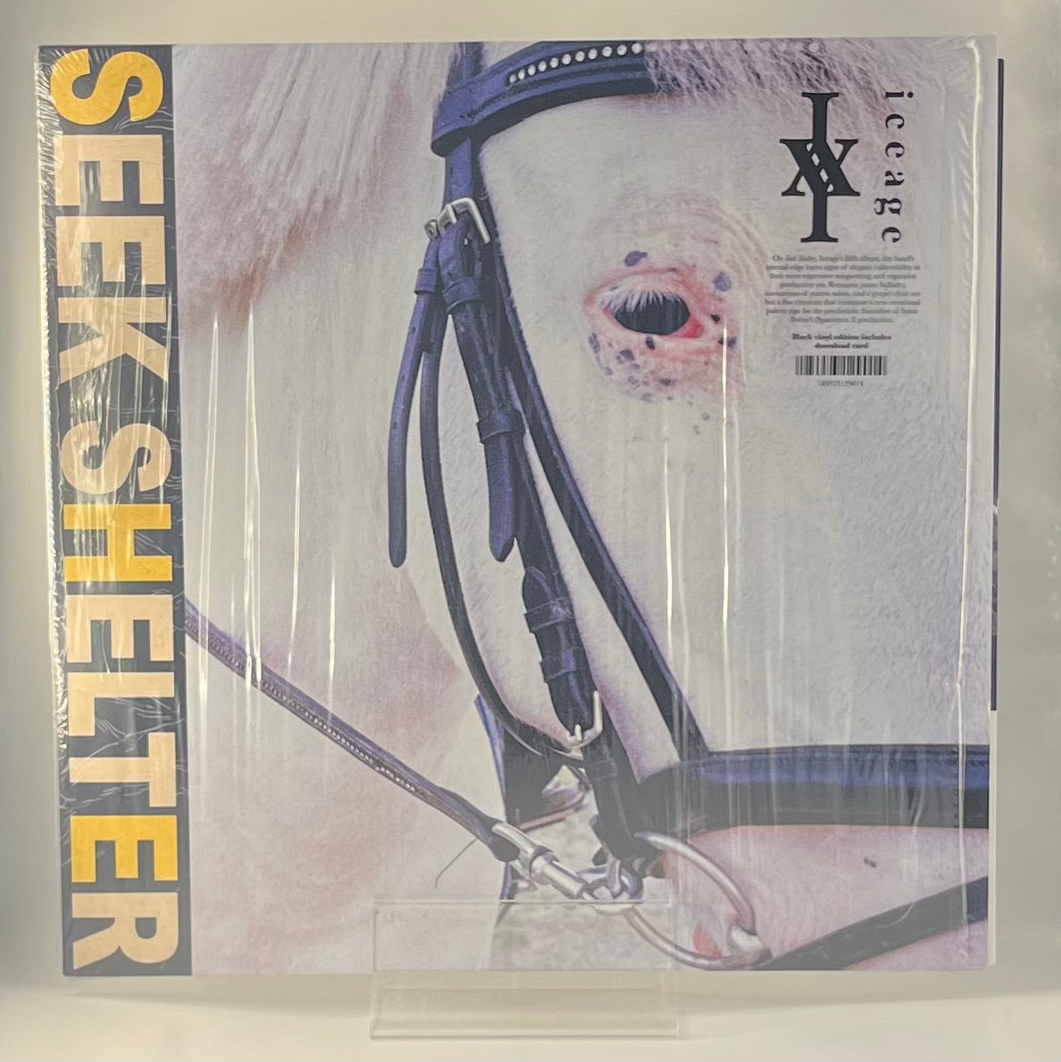 Iceage / Seek Shelter (image 1)
