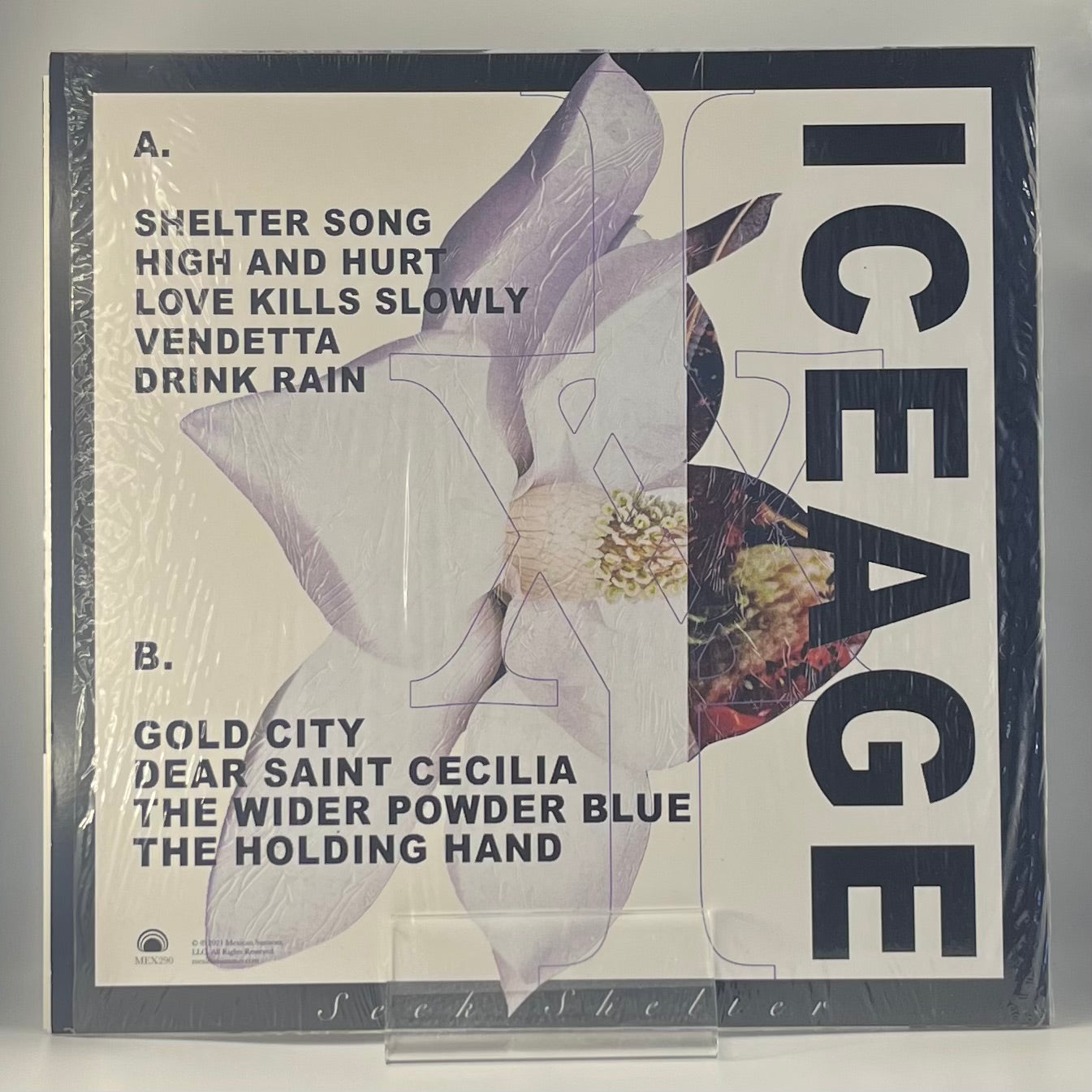 Iceage / Seek Shelter (image 2)