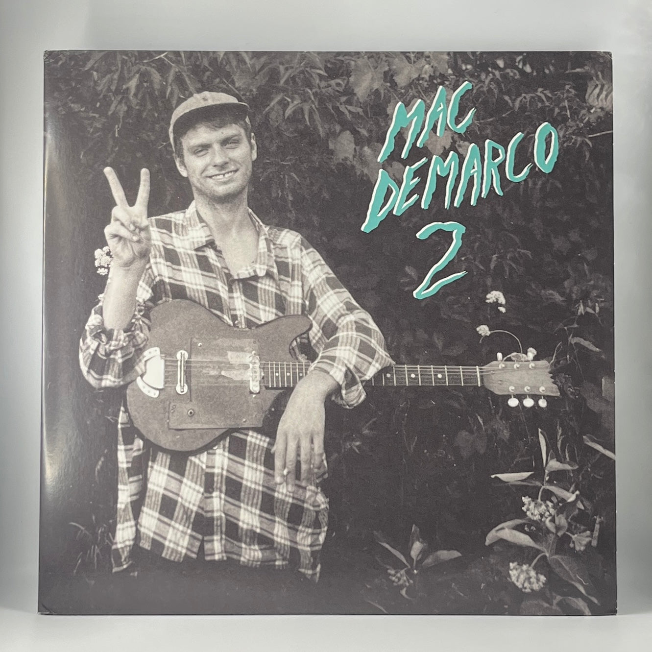Mac DeMarco / 2 (image 1)