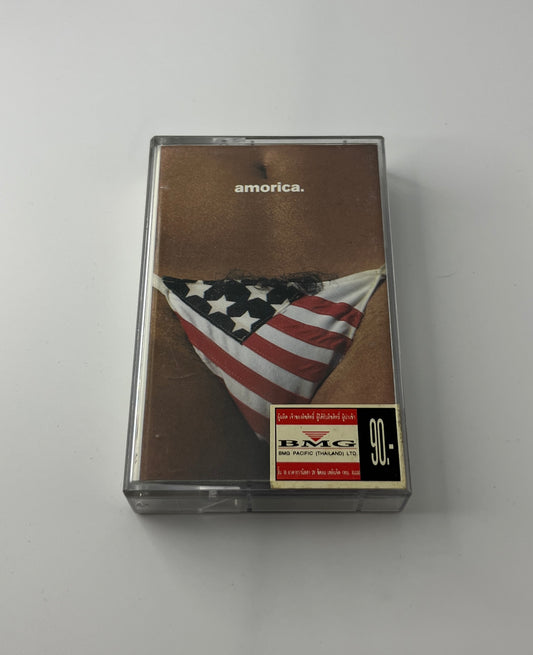 The Black Crowes / Amorica (image 1)