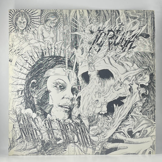 Tortuga / Kings of Albany (image 1)