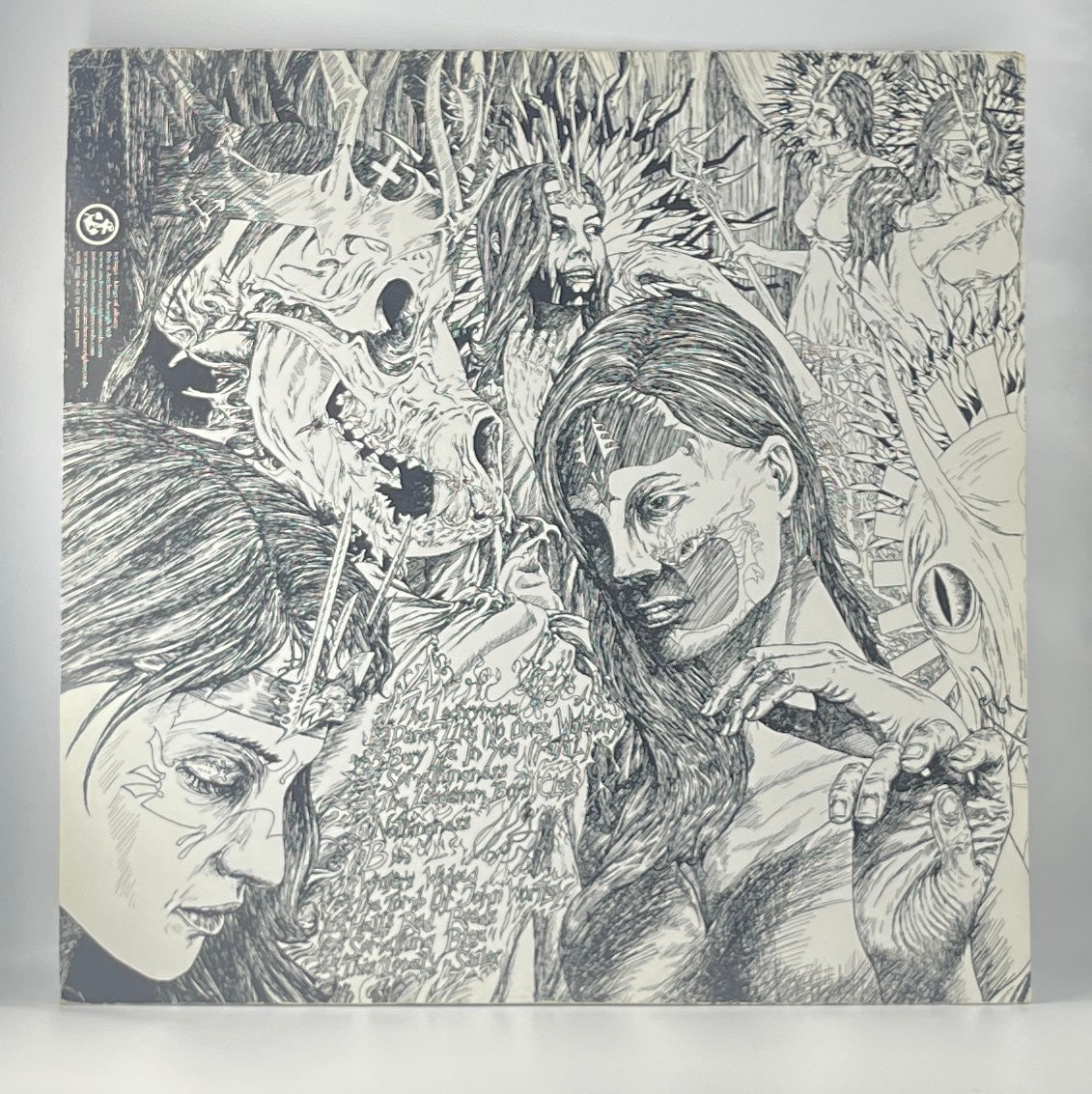 Tortuga / Kings of Albany (image 2)